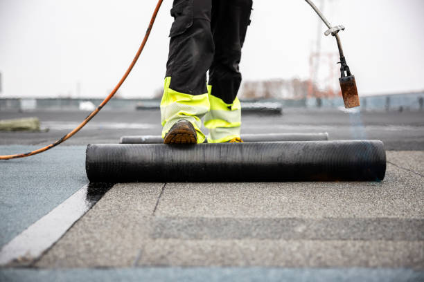 Best Gutter Installation and Repair  in Newton Falls, OH