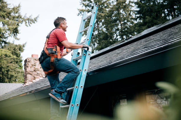 Best Asphalt Shingles Roofing  in Newton Falls, OH